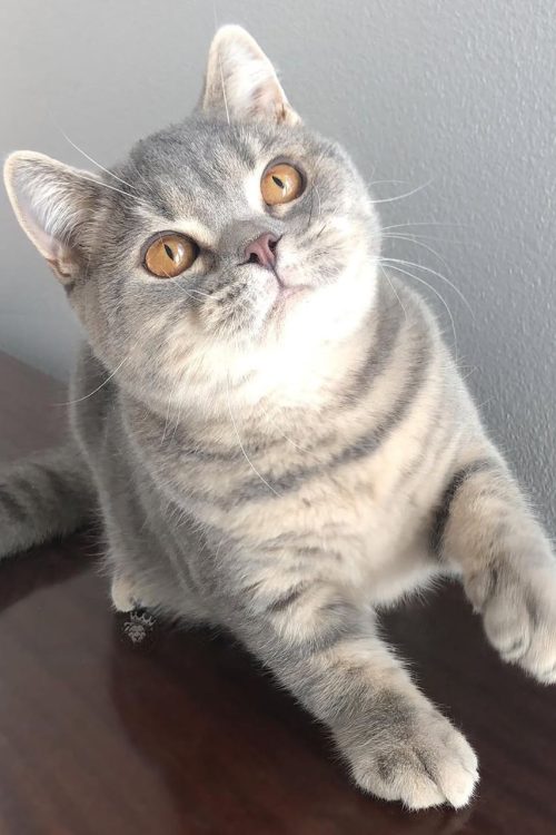 WhatsApp Image 2025-09-25 at 13.29.27