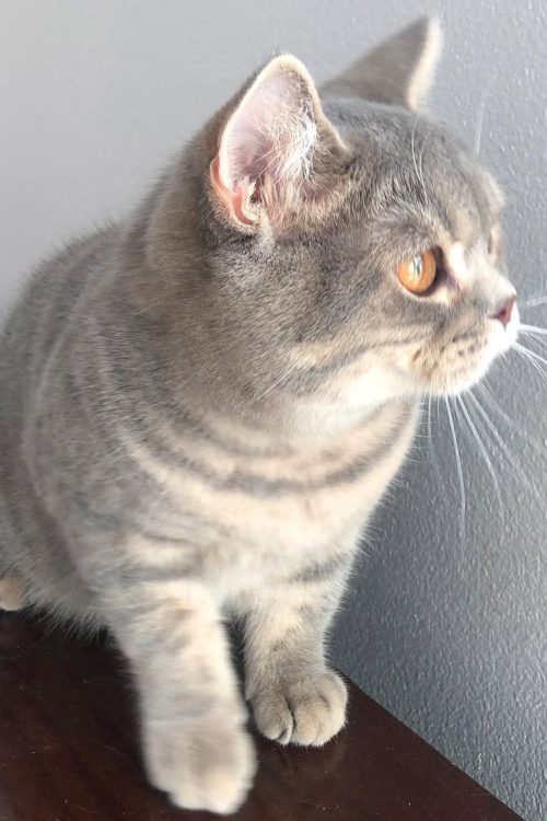 WhatsApp Image 2025-09-25 at 13.29.28 (1)