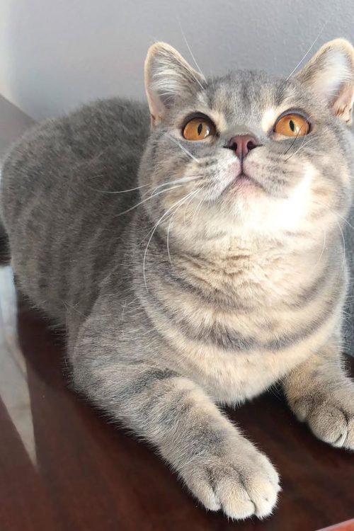 WhatsApp Image 2025-09-25 at 13.29.28 (2)