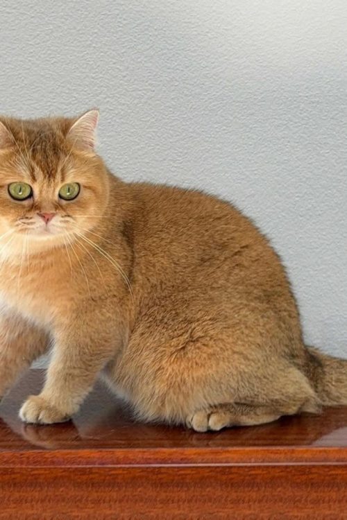 WhatsApp Image 2025-09-25 at 14.16.38 (2)