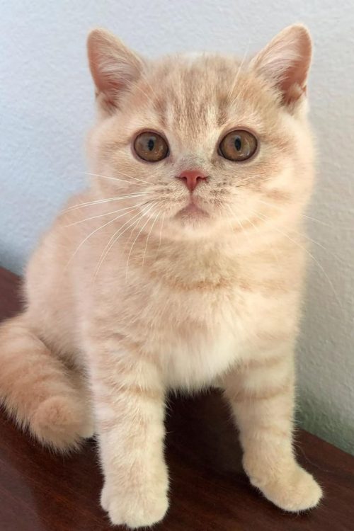 WhatsApp Image 2025-09-25 at 14.23.47